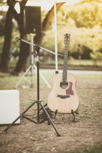 guitar in the park vintage filter
